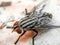 close-up portrait of fly flies taken from the top