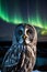 Close-Up Portrait of a Great Grey Owl Amidst Northern Lights and Aurora Borealis