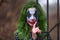 Close-up portrait of a greenhaired girl in chekered dress with joker makeup on a blurry background