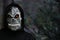 Close-up portrait of grim reaper. Man in death mask with fire flame in eyes on dark black nature juniper plant