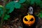 Close-up portrait of grim reaper. Man in death mask with fire flame in eyes on dark nature green forest leaves