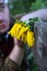 Close up portrait of a guy with shut eyes and sunflower.