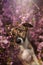 Close up portrait of happy dog in pink blooming flowers