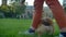 Close-up portrait of human playing with corgy dog on green grass background.