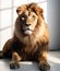 Close-up portrait of a Lion in bright studio
