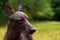 Close up portrait Mexican hairless dog xoloitzcuintle, Xolo on a background of green grass in the park