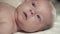 Close-up portrait of a newborn baby. Fed, calm baby looking at the camera