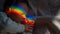 Close-up portrait of a newborn boy with a prism beam on his face. Rainbow.