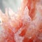 Close-up Portrait Of Pink Quartz Crystals With Watery Reflections