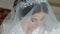 Close-up portrait of pretty shy bride with a veil.