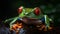 Close up portrait of red eyed tree frog. Ai generated