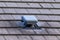 A close up portrait of a roof vent on a slate roof on a house. This small chimney like object is used as a ventilation, to