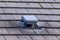 A close up portrait of a roof vent on a slate roof on a house. This small chimney like object is used as a ventilation, to