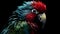 Close up portrait shot blue red Scarlet Macaw parrot bird nature blur bokeh background