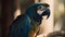 Close up portrait shot blue Scarlet Macaw parrot bird nature blur bokeh background