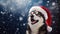 Close-up portrait of a Siberian Husky wearing a red Santa Claus hat against a winter snowy landscape