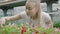 Close-up portrait of smiling cute woman admiring pink and red flowers in greenhouse. Blond Caucasian female biologist