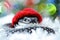 Close up portrait of a snake in the Santa Claus hat a symbol of 2025 year