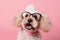 Close up portrait of surprised and amazed dog with glasses. Generative AI