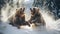 close-up portrait of two big brown bears fighting with mouthes open with teeth and paws with claws