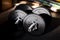 A close up portrait of two dumbbell weights lying on a small mat ready to be used for some healthy exercises for strength, stamina