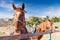 Close-up portrait of two red horses