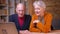 Close-up portrait of two senior gray-haired caucasian spouses talk in videochat on laptop actively gesticulating in