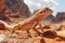 Close up Portrait of a Vibrant Common Collared Lizard Basking in Natural Sunlight on Rocky Desert Terrain