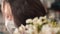 Close up portrait of woman wearing protective mask working with flowers. floristry business. asian