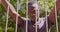 Close up portrait of young desperate african american guy standing behind metal bars outdoors