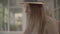 Close-up portrait young rural girl in a straw hat and white dress sitting at the small wooden table outdoors reading the