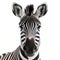 Close-up portrait of a zebra on a white background. Generative AI