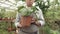 Close-up of a pot with a green plant in the hands of an elderly male gardener standing in a greenhouse.