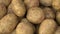 Close up Potato pile background