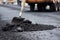 close-up of a pothole being filled with fresh asphalt mix