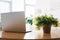 close up of potted plant and laptop on wooden table