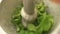 Close up pounding fresh herbs in a mortar with a pestle.