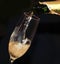 Close up of pouring champagne