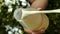 Close-up of pouring liquid milk in slow motion against the backdrop of nature. vertical screen