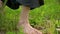 Close-up of a practicing man`s legs outdoors in the grass. Crossing bare feet in qigong exercises. The concept of a