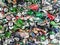 Close-up  of  pressed aluminum beer cans ready for recycling