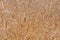 Close up pressed wooden panel background, seamless texture of oriented strand board - OSB wood - Image