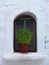 Close up of pretty pot plant in outdoor window,Skopelos, Greek Islands