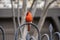 Close-up of pretty red cardinal bird sitting on decorative iron fence with its head turned sideways - blurred background
