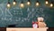 Close up of primary school classroom. Classroom with chalkboard on background. Childish desk with alarm clock and teddy