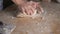 Close up process of homemade vegan gnocchi pasta with whole wheat flour. The cook kneads the dough on the wooden cutting board,