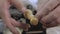 Close-up of a professional carpenter applying linseed oil to a piece of wood on a lathe