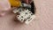 Close-up of a professional electrician prepares the electrical wires for replacing the socket. Home electrical appliance repair. E