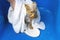Close-up of professional pet groomer drying a wet a dog Yorkshire Terrier wrapped in a white towel at pet grooming salon