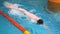 Close up for professional swimmer in slow mothion while swimming race in indoor pool. Athlete training, swimming the